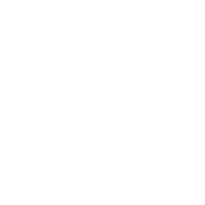 Shield Business Icon